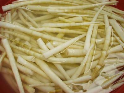 水發筍子